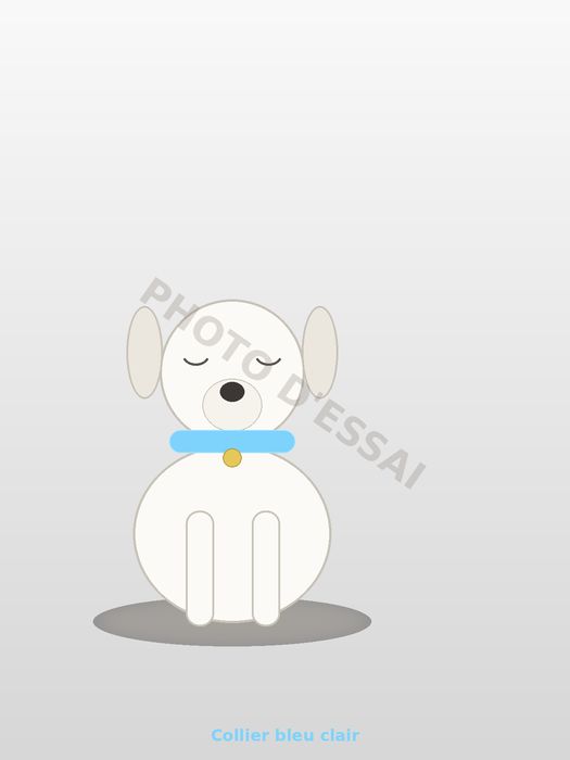 Collier bleu clair, chiot Dogue Argentin