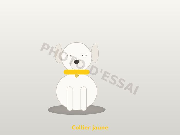 Collier jaune, chiot Dogue Argentin