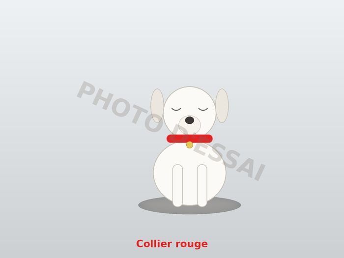 Collier rouge, chiot Dogue Argentin