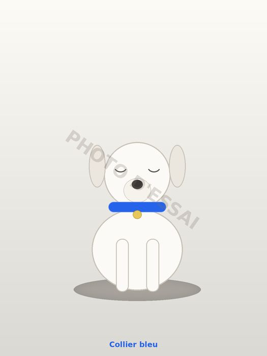 Collier bleu, chiot Dogue Argentin