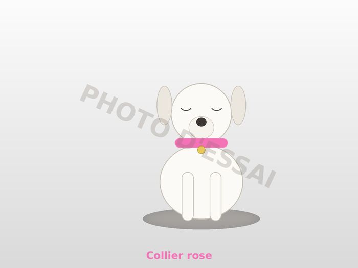 Collier rose, chiot Dogue Argentin