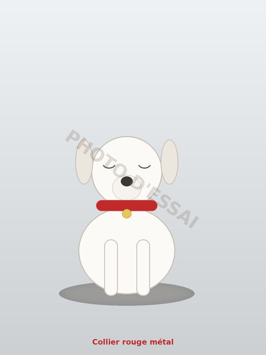 Collier rouge métal, chiot Dogue Argentin