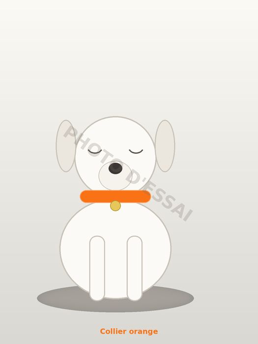 Collier orange, chiot Dogue Argentin