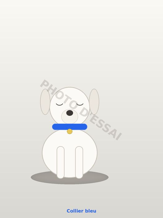 Collier bleu — 23 septembre 2027, chiot Dogue Argentin