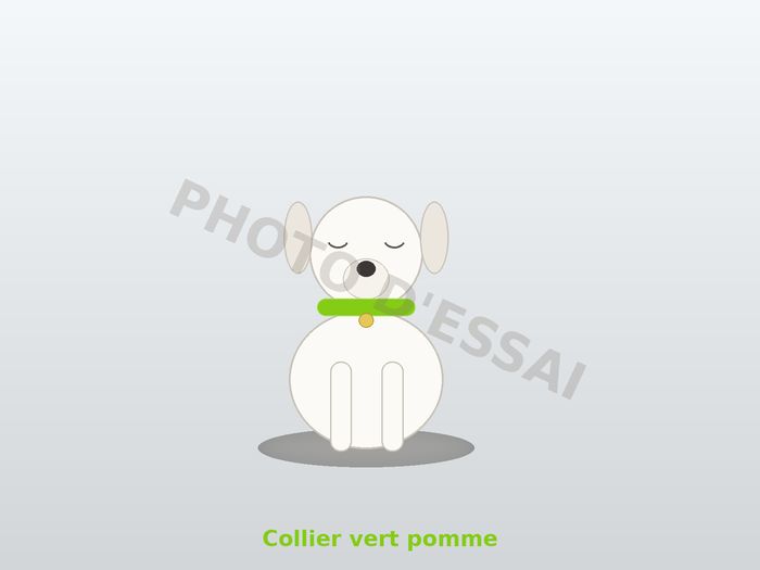 Collier vert pomme — 29 septembre 2027, chiot Dogue Argentin