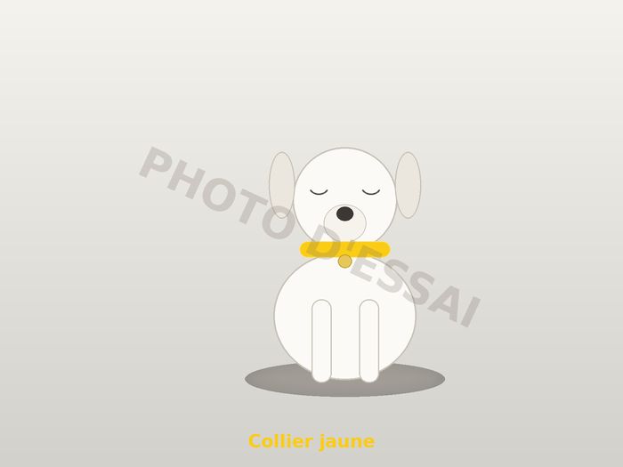 Collier jaune — 6 octobre 2027, chiot Dogue Argentin