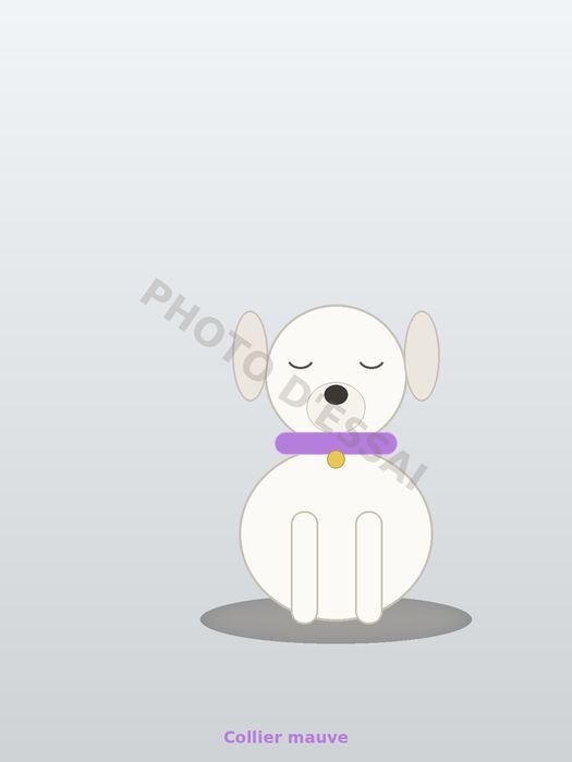 Collier mauve — 6 octobre 2027, chiot Dogue Argentin