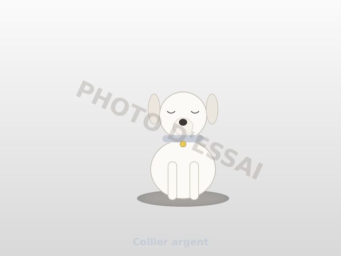 Collier argent — 6 octobre 2027, chiot Dogue Argentin