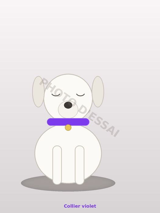 Collier violet — 13 octobre 2027, chiot Dogue Argentin