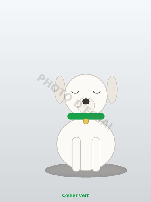 Collier vert — 16 octobre 2027, chiot Dogue Argentin