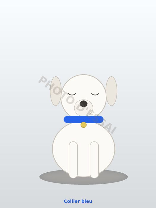 Collier bleu — 18 octobre 2027, chiot Dogue Argentin