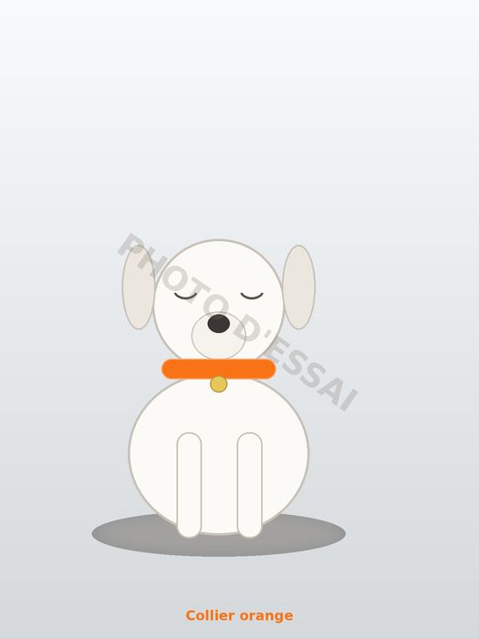 Collier orange — 27 octobre 2027, chiot Dogue Argentin