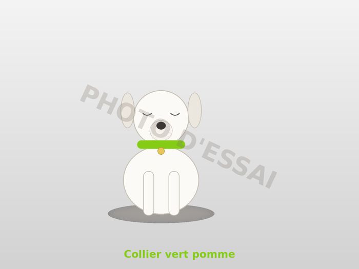 Collier vert pomme — 27 octobre 2027, chiot Dogue Argentin
