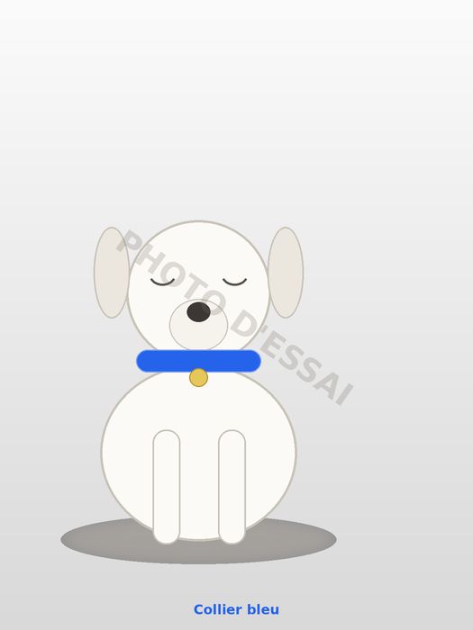 Collier bleu — 27 octobre 2027, chiot Dogue Argentin